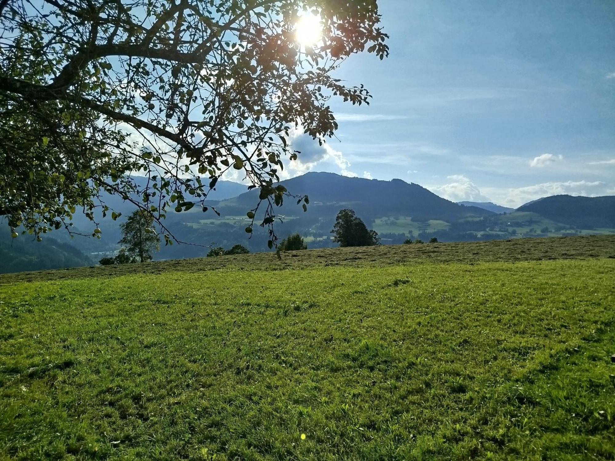 Biobauernhof Schuster Apartamento Hopfgarten im Brixental Exterior foto